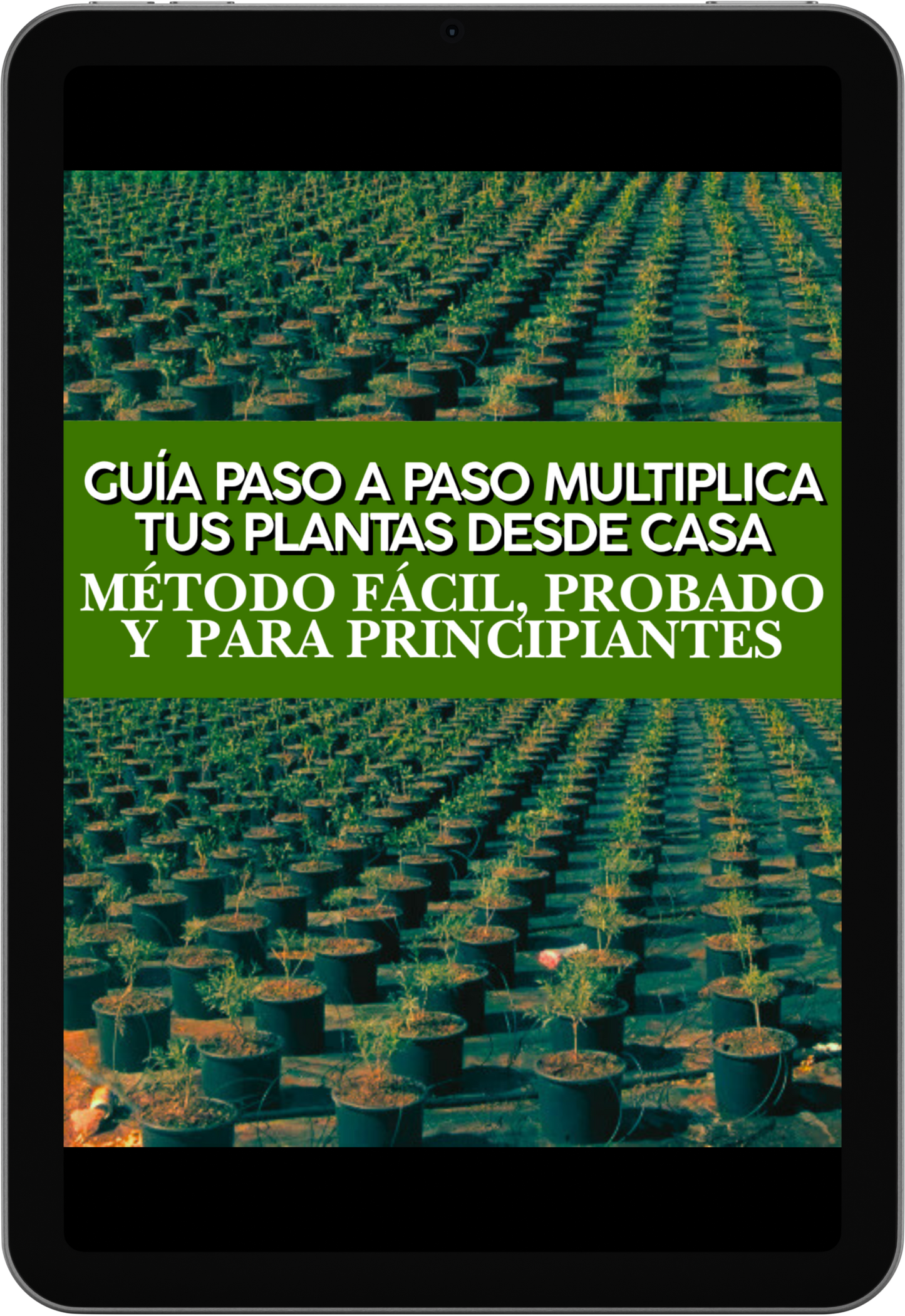 Libro Guía de Esquejes